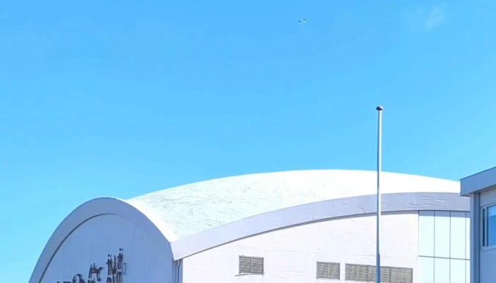 Gisli Halldorsson Eftir Ragnhildi Stefansdottur Nalægt Mer - Reykjavík