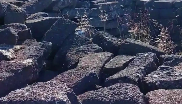 Gjaarrett Myndskeid - Garðabær