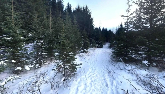 Gjaarrett Street View 360deg - Garðabær