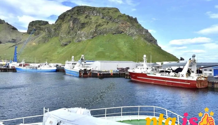 Glamping Camping Hotel - Vestmannaeyjar