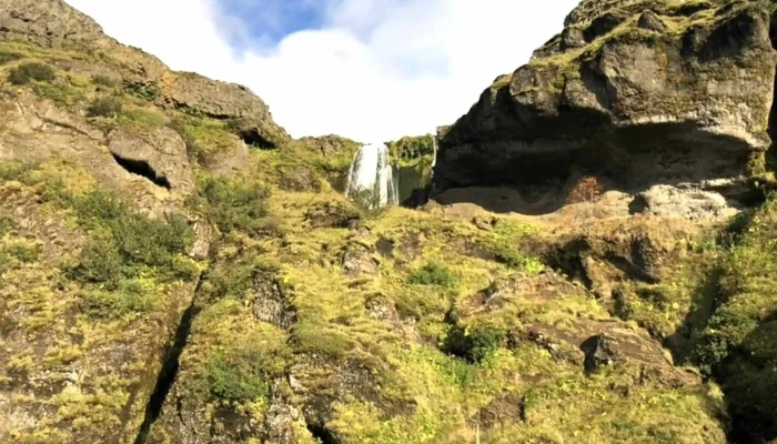 Gljufrabui Vefsiða - 249