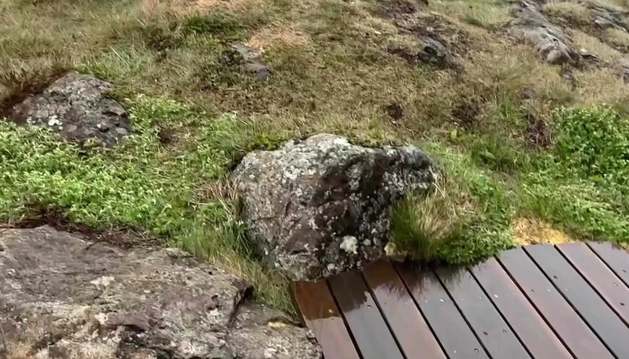 Golfklubburinn Mostri Aætlun - Stykkishólmur