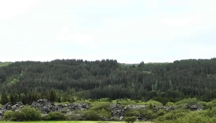 Golfklubburinn Oddur Heimilisfang - Urridavollur