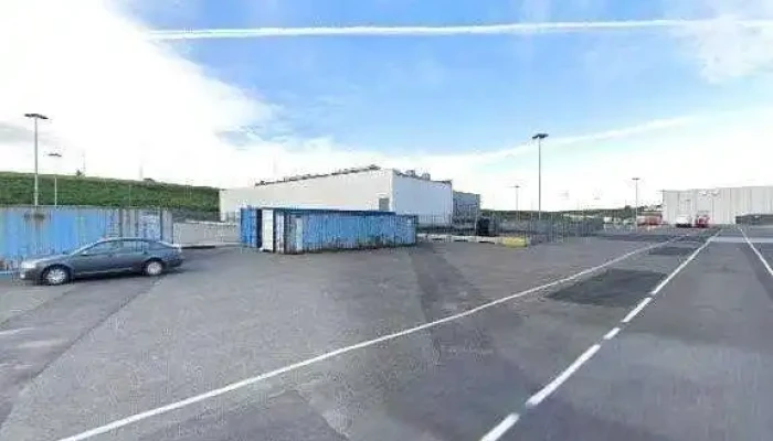 Gorilla Voruhus Reykjavik+258232+4 - Reykjavík