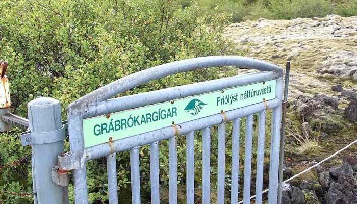 Grabrok Myndbond - Bifröst