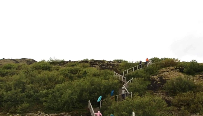 Grabrok Verð - Bifröst
