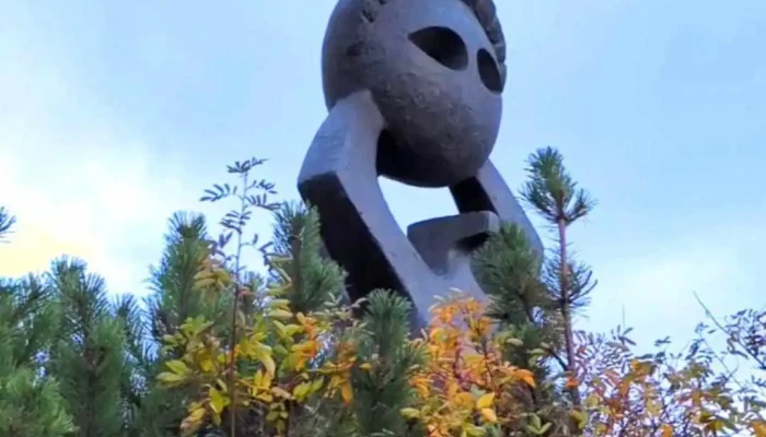 Grima Myndskeid - Reykjavík