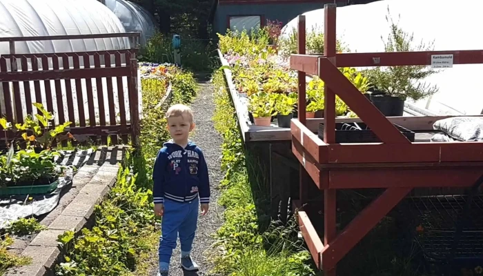 Grodrarstodin Rettarholl Nalægt Mer - Svalbarðseyri