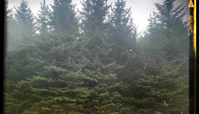 Gudmundarlundur Simi - Kópavogur