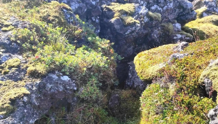 Gufuskalar Simi - Ólafsvík