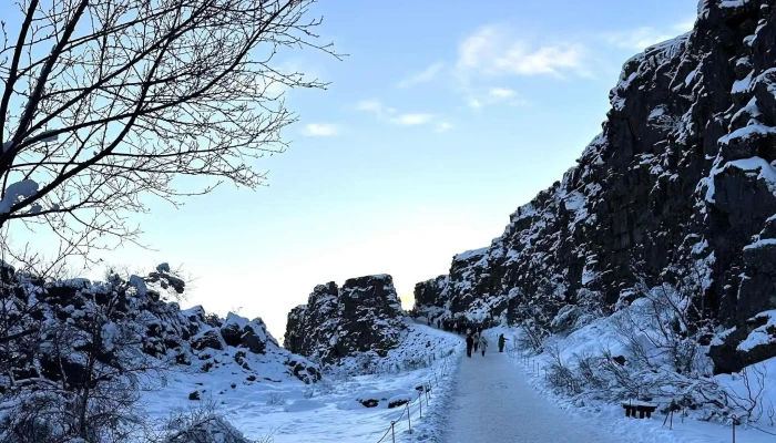 Guide To Iceland -  Safn - Reykjavík