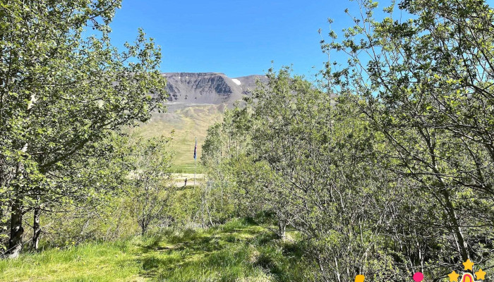 Gunnfridarstadaskogur Fjall - Holtastaðir
