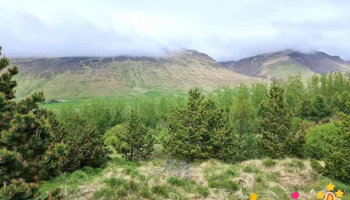 Gunnfríðarstaðaskógur - Holtastaðir