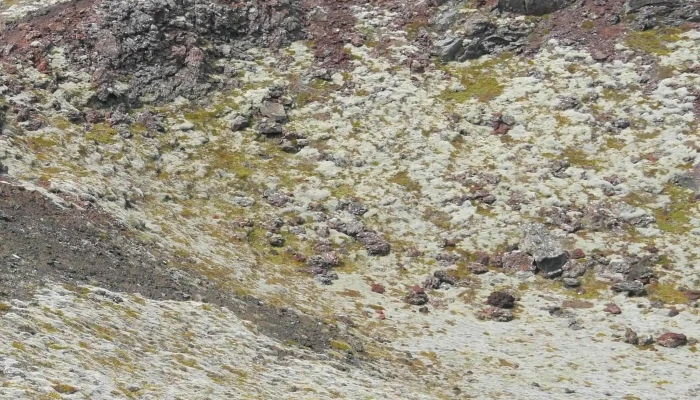 Gunnuhver Volcano -  Verð - R878+6fw