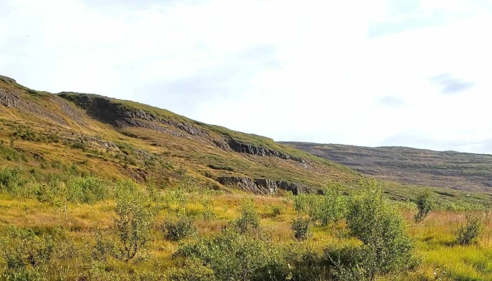 Gvendarlaug -  Myndir - 65°46'52.0"n 21°31'08., 9
