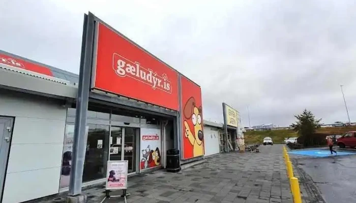 Gæludýr - Kópavogur