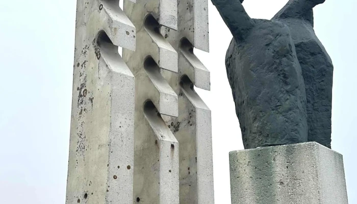 Hafid Instagram - Höfn Í Hornafirði