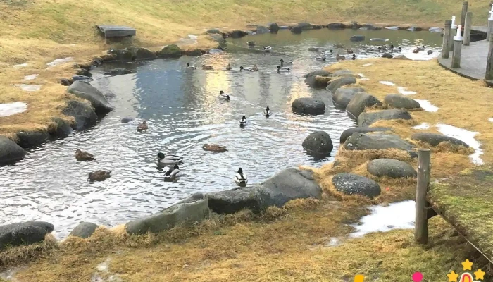 Hafnarfjordur Upplysingamidstod Ferdamanna Upplýsingamiðstoð Ferðamanna - Hafnarfjörður