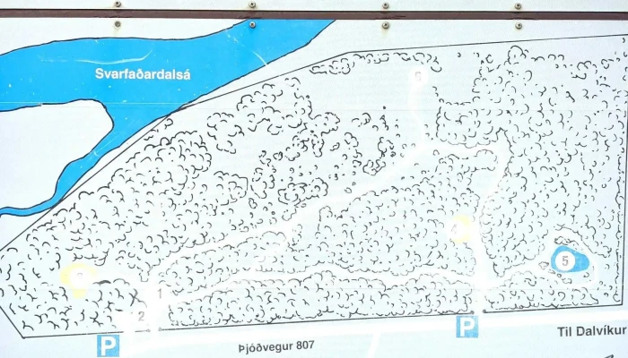 Hanefsstadaskogur Myndbond - Dalvík