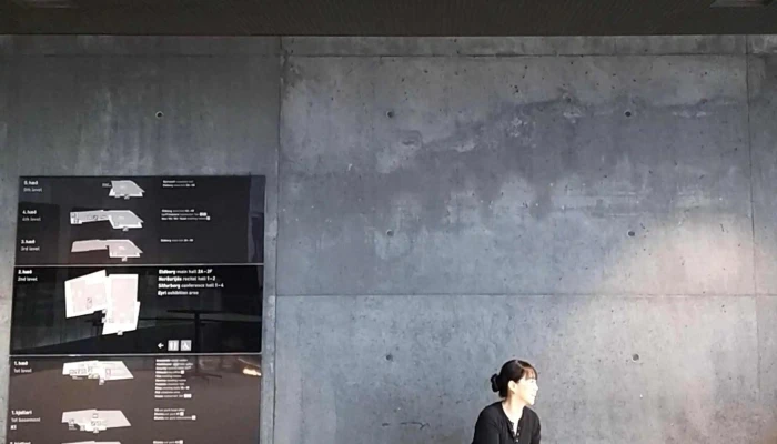 Harpa Tonlistarhus   Fundarherbergi Instagram - Reykjavík