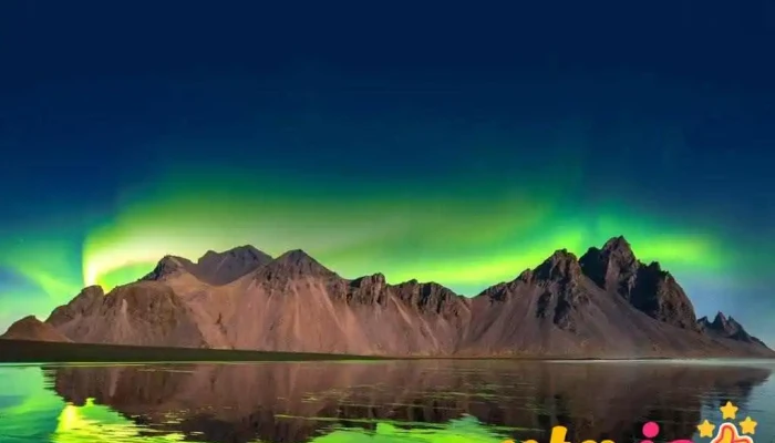 Hatidni Hf Fra Eiganda - Höfn Í Hornafirði