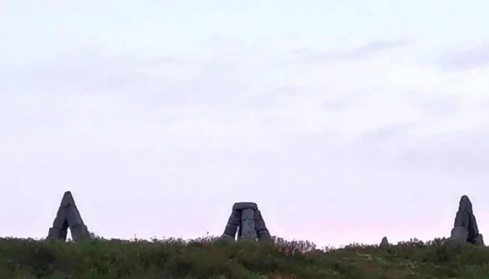 Heimskautsgerdid Myndbond - Raufarhöfn