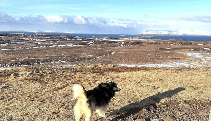 Helgafell -  Staðsetning - Iceland