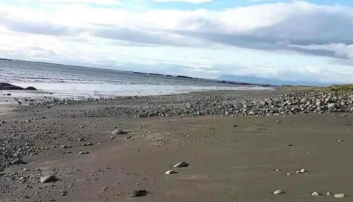 Hestamidstodin Borgartun Myndskeid - Akranes