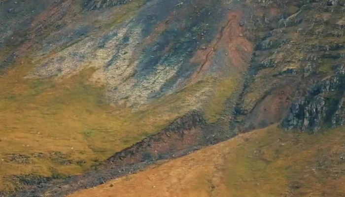 Himri -  þrif A Heimili - Kjósarskarðsvegur