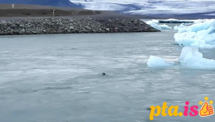 Hit Iceland -  Myndskeid - Reykjavík