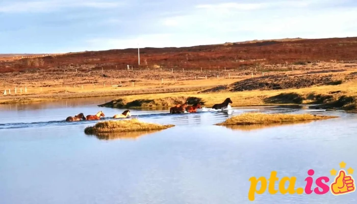 Hlidarvatn Myndskeid - Iceland