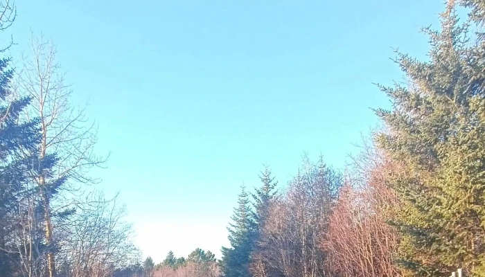 Hof Asatruarfelagsins Instagram - Reykjavík