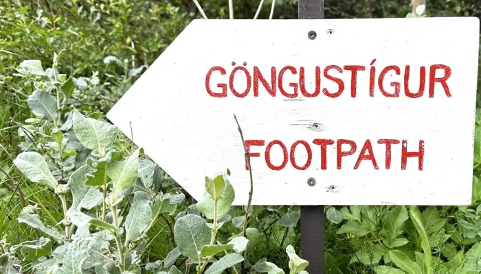 Hofdi Hvernig A Að Komast þangað - Skútustaðir