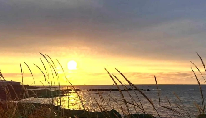 Hofnin I Hofnum Hvernig A Að Komast þangað - Hafnir