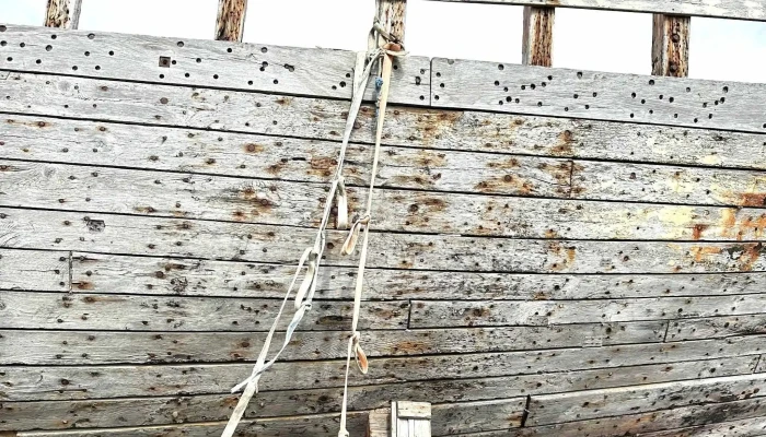 Hofrungur Ak 91 Afslættir - Akranes