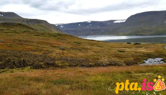 Hornstrandir Fridland Myndskeid - Ísafjörður