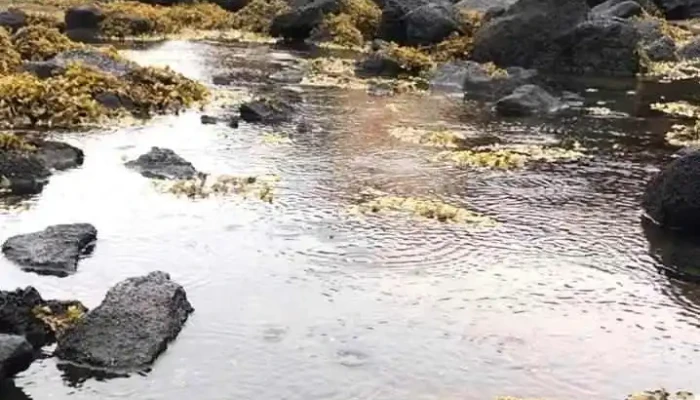 Hrafn Sveinbjarnarson Iii Ship Wreck -  Myndskeid - Grindavík