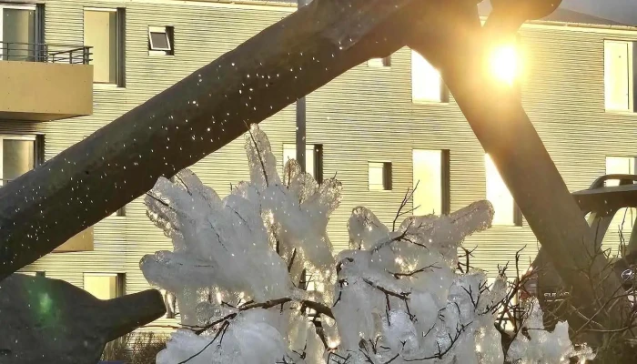 Hrafnista Hafnarfirdi Dvalarheimili Aldraðra - Hafnarfjörður