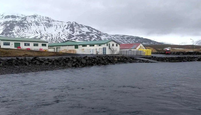 Hriseyjarferja Verð - Litli-árskógssandur