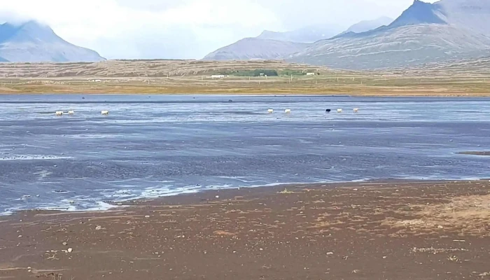 Hrutafjordur Iceland - Iceland