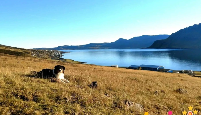 Hundasvaedi Neskaupstad Fra Gestum - Neskaupstaður