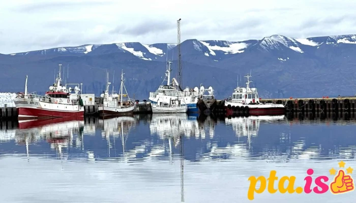 Husavik Fjall - Húsavík