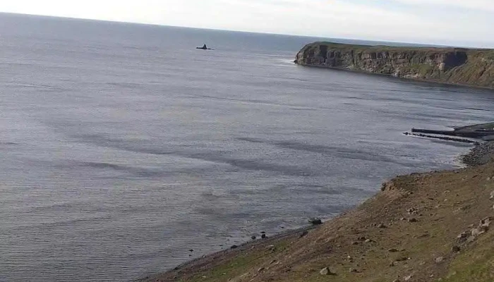 Husavik Piparþjonusta - Húsavík