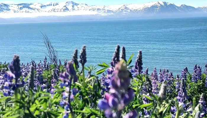 Husavik Utsynisstadur Hvar - Húsavík