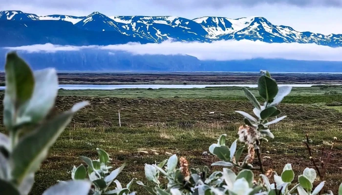 Husavik Utsynisstadur Staðsetning - Húsavík