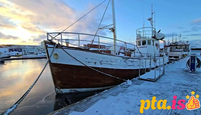 Husavikurhofn Myndskeid - Húsavík