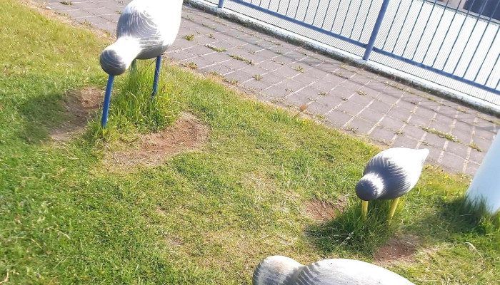 Husavikurhofn Nalægt Mer - Húsavík