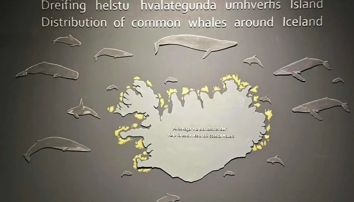 Hvalasafnid A Husavik Einkunn - Húsavík