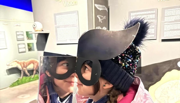 Hvalasafnid A Husavik Hvernig A Að Komast þangað - Húsavík