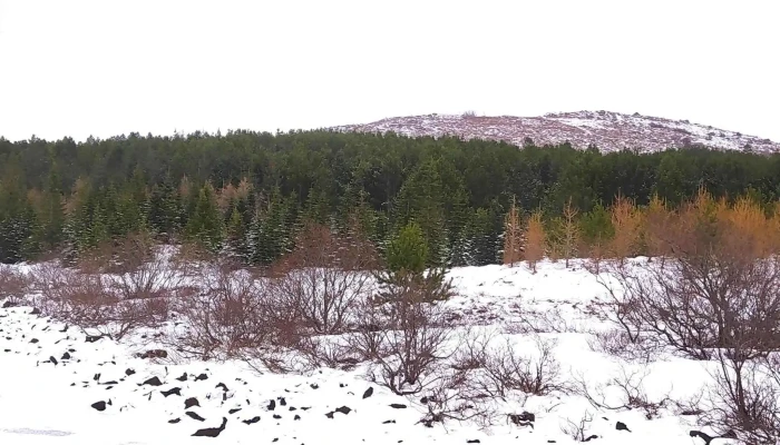 Hvaleyrarvatn Bilastaedi Vestur Hafnarfjorður - Hafnarfjörður